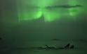 Φάλαινες κολυμπούν στο φως του Βόρειου Σέλαος - Εκπληκτικό βίντεο από τη Νορβηγία
