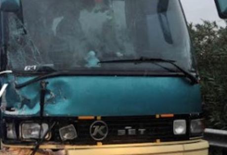 ΠΕΟ Πατρών- Αθηνών: Ένας νεκρός και μία τραυματίας μετά από σύγκρουση λεωφορείου με φορτηγάκι - Φωτογραφία 1