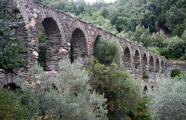 7303 - Πρωινός περίπατος στα ερείπια της Αθωνιάδας (φωτογραφίες και βίντεο) - Φωτογραφία 5