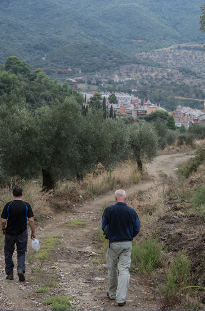 7303 - Πρωινός περίπατος στα ερείπια της Αθωνιάδας (φωτογραφίες και βίντεο) - Φωτογραφία 6