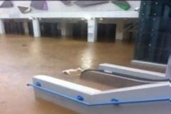 Εικόνες βιβλικής καταστροφής στο δήμο Ηρακλείου Αττικής