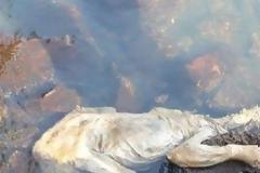 Μυστηριώδες ΠΛΑΣΜΑ βρέθηκε από μια ομάδα πυροσβεστών σε ακτή στην Ουρουγουάη [video]