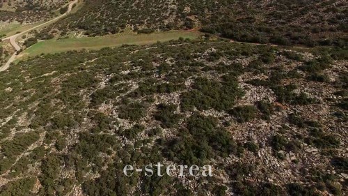 Ανθρωποκυνηγητό στη Βοιωτία: Καταζητούνται οπλισμένοι δράστες [photos] - Φωτογραφία 10