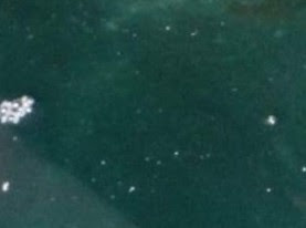 ΣΟΚ! Σκοτσέζος φωτογράφισε, τυχαία, μυστηριώδες θαλάσσιο πλάσμα στην Κέρκυρα [photos] - Φωτογραφία 1