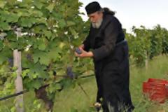 7330 - Κρασιά Μυλοποτάμου. Συνέντευξη του Γέροντα Επιφάνιου