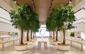 Η Apple άνοιξε στο Ντουμπάι το μεγαλύτερο Apple Store - Φωτογραφία 4