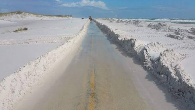 Μοναδικό: Χιόνισε στην Φλόριντα; [Photos] - Φωτογραφία 5