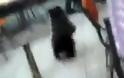 Απίστευτο: Αρκούδα μέσα σε καφέ επιτίθεται στους πελάτες [βίντεο]
