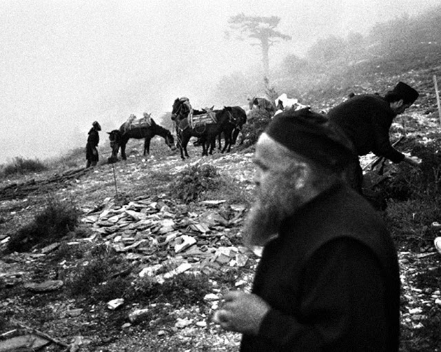 7343 - Αγιορειτικές μοναχικές μορφές - Φωτογραφία 8