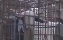 Κλειδώνουν ανθρώπους σε κλουβιά και τους χρησιμοποιούν ως ανθρώπινες ασπίδες [video]