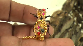 Τρομακτική τάση! Ζωντανά σκαθάρια φοριούνται ως κοσμήματα! [video] - Φωτογραφία 1