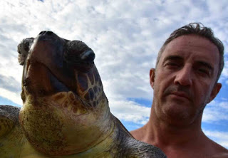 Χτυπημένη χελώνα Καρέτα - Καρέτα στο Ναύπλιο... [photos] - Φωτογραφία 1