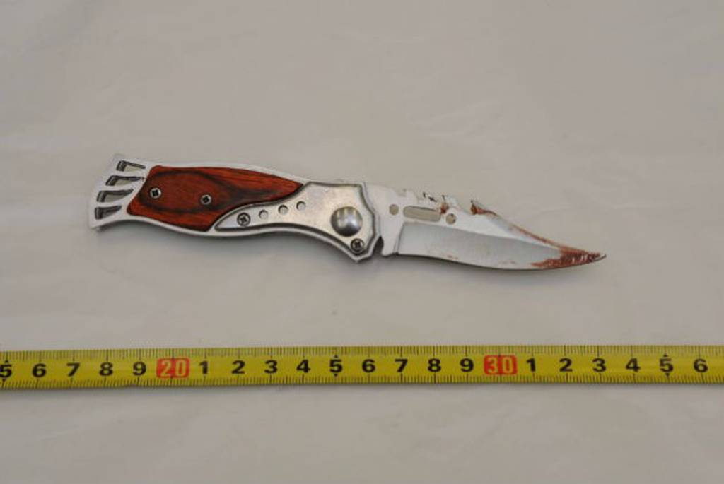 Αυτό είναι το μαχαίρι που αφαίρεσε την ζωή του Παύλου Φύσσα - Φωτογραφία 2