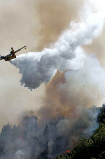 Συνδρομή των ΕΔ στην Αντιπυρική Περίοδο 2015 - Φωτογραφία 16