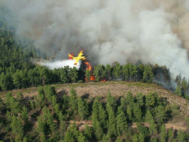 Συνδρομή των ΕΔ στην Αντιπυρική Περίοδο 2015 - Φωτογραφία 23