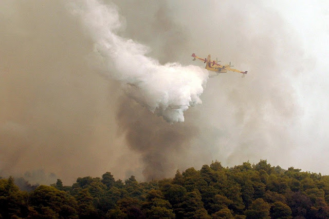 Συνδρομή των ΕΔ στην Αντιπυρική Περίοδο 2015 - Φωτογραφία 8