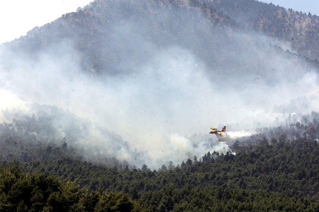 Συνδρομή των ΕΔ στην Αντιπυρική Περίοδο 2015 - Φωτογραφία 9