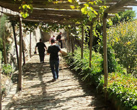 7406 - Ψυχή Ορθρία (Ημερολόγιο Όρους 2015). Μέρος 3ο - Φωτογραφία 8