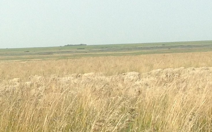 Που είναι τα πρόβατα οέο; [Photos] - Φωτογραφία 6