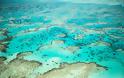 Εξαιρετικά νέα για τον Μεγάλο Κοραλλιογενή Ύφαλο - Φωτογραφία 3