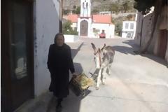 Τρικολόρ κτηνίατρος για το... Ποντικάκι