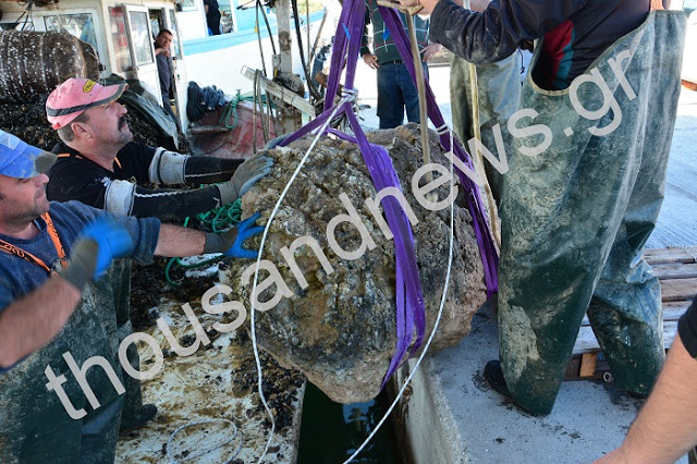 Η ανασκαφή μιας τιτανοχελώνας στο Θερμαϊκό - Φωτογραφία 5