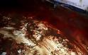 ΠΡΟΣΟΧΗ ΣΚΛΗΡΕΣ ΕΙΚΟΝΕΣ: Φρίκη μέσα από το ξενοδοχείου του Μάλι - Αίματα και σφαίρες παντού - Φωτογραφία 9