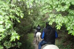 Στα μονοπάτια του Βοϊδομάτη ...