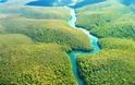 Τα μισά είδη δέντρων του Αμαζονίου απειλούνται με εξαφάνιση
