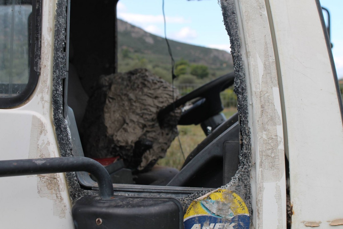 ΑΠΙΣΤΕΥΤΟ: Σφηκοφωλιά - Τέρας οδηγεί φορτηγό στο Ναύπλιο! [photos] - Φωτογραφία 3