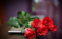 ΑΠΙΘΑΝΟ! Ελληνίδα δημιούργησε ηλεκτρονικά...τριαντάφυλλα