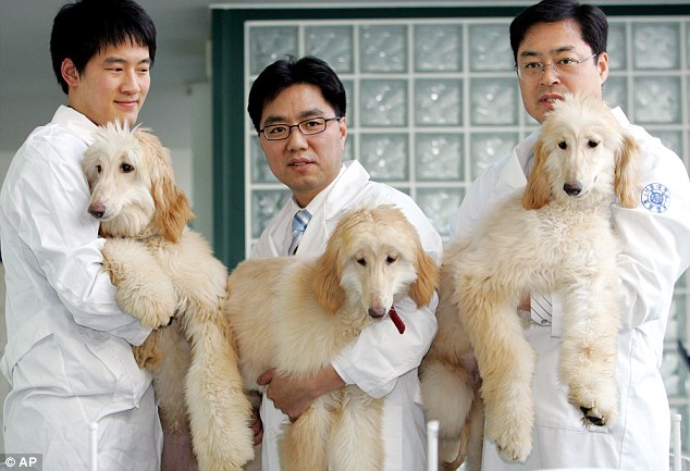 Το πρώτο «εργοστάσιο κλωνοποίησης ζώων» φτιάχνουν οι Κινέζοι! - Φωτογραφία 2