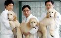 Το πρώτο «εργοστάσιο κλωνοποίησης ζώων» φτιάχνουν οι Κινέζοι! - Φωτογραφία 2