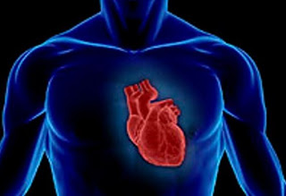 Έρευνα: Αν η καρδιά σας χτυπά γρήγορα, μπορεί να κινδυνεύεται με πρόωρο θάνατο - Φωτογραφία 1