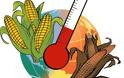 Κλιματική αλλαγή και επιπτώσεις στην ασφάλεια των τροφίμων