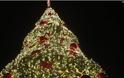 Η Αθήνα ντύθηκε Χριστουγεννιάτικα - Το λαμπερό δέντρο, τα φωτάκια και ο Σάκης Ρουβάς [photos]