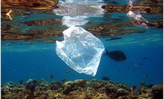 Τα βιοδιασπώμενα πλαστικά σπάνια διαλύονται στον ωκεανό - Φωτογραφία 1