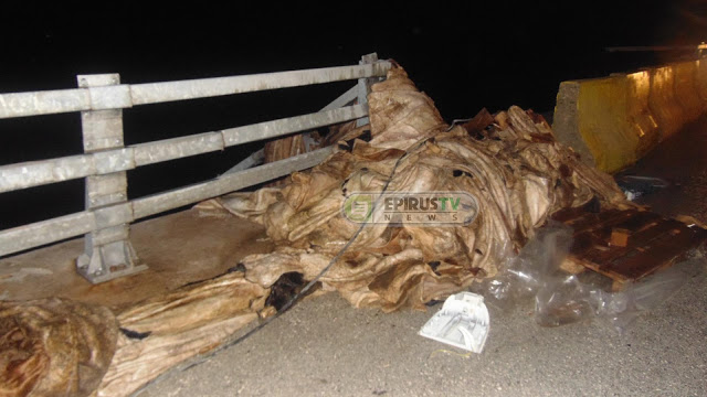 Νταλίκα έπεσε σε γκρεμό στην περιοχή της Παραμυθιάς - Ένας άνδρας νεκρός [video + photos] - Φωτογραφία 2