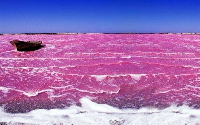 Απίστευτο! Υπάρχει... ροζ λίμνη! Που βρίσκεται; [photos] - Φωτογραφία 3