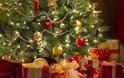 Ψεύτικο ή αληθινό χριστουγεννιάτικο δέντρο; Οι ειδικοί απαντούν!
