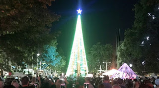 Βίντεο: Με 518.000 λαμπάκια έβαλε το χριστουγεννιάτικο δέντρο του στο Ρεκόρ Γκίνες - Φωτογραφία 1