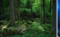 Το μαγευτικό μαύρο δάσος της Γερμανίας [photos] - Φωτογραφία 5