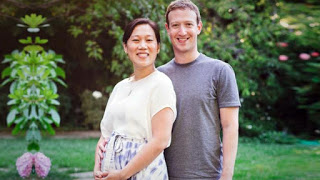Πού θα δώσουν ο Μάρκ Ζούκερμπεργκ και η γυναίκα του το 99% των μετοχών του Facebook; - Φωτογραφία 1