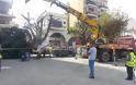 «Ιπτάμενο» δέντρο ... προσγειώθηκε στην Τρίπολη! - Φωτογραφία 2