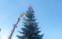 «Ιπτάμενο» δέντρο ... προσγειώθηκε στην Τρίπολη! - Φωτογραφία 4