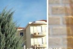 Τα δέντρα στην Τρίπολη κουρεύτηκαν σαν τον ... «Ευχούλη» [photos]