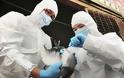 Παγκόσμιο συναγερμός: Κυκλοφορεί ο ιός Η5Ν1-Σταμάτησαν οι εξαγωγές πουλερικών από τη Γαλλία...