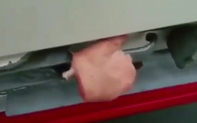 Θα πάθετε πλάκα! Δείτε τι έκανε ένας οδηγός για να μην μπαίνουν οι μετανάστες στο φορτηγό του... [photo] - Φωτογραφία 2