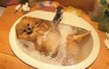 Δείτε απίστευτα αστείες φωτογραφίες ζώων την ώρα του μπάνιο [photos] - Φωτογραφία 13