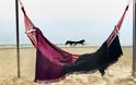 Sun of a beach: Oι πετσέτες που βρίσκονται σε κάθε παραλία του κόσμου - Φωτογραφία 6